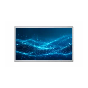 10.1″ IPS 工业液晶显示屏