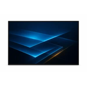 10.1″ WXGA 工业显示屏