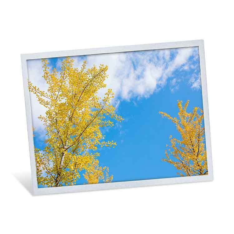 15″ IPS 工业液晶显示屏