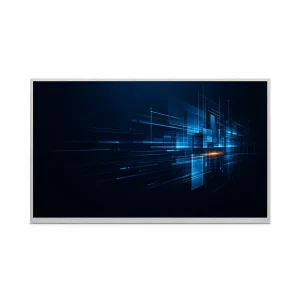 10.1″ WXGA IPS LVDS 工业显示模组